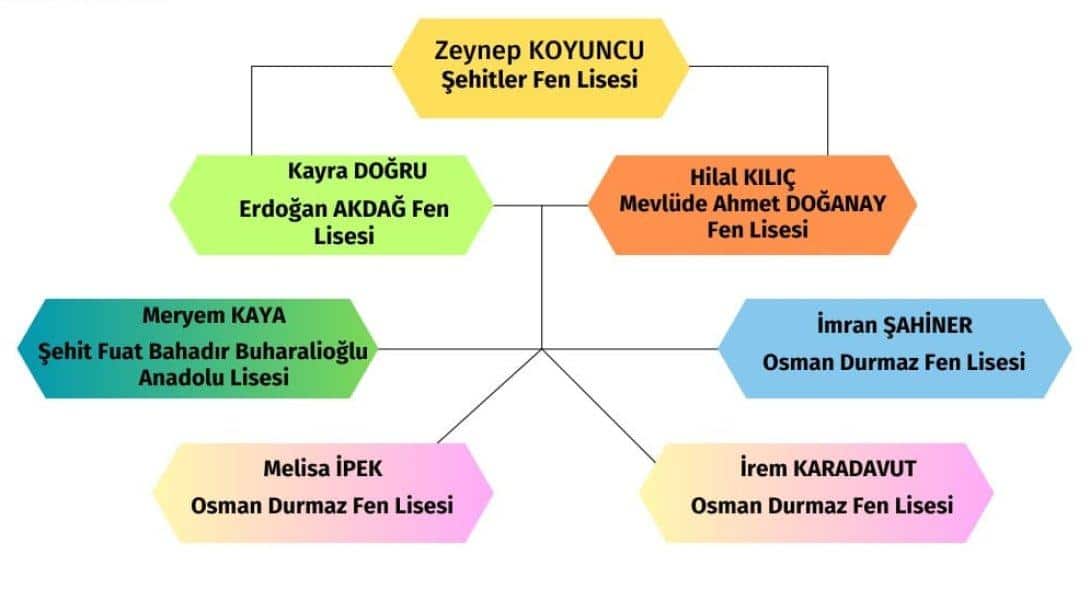 LGS BAŞARI TABLOMUZ